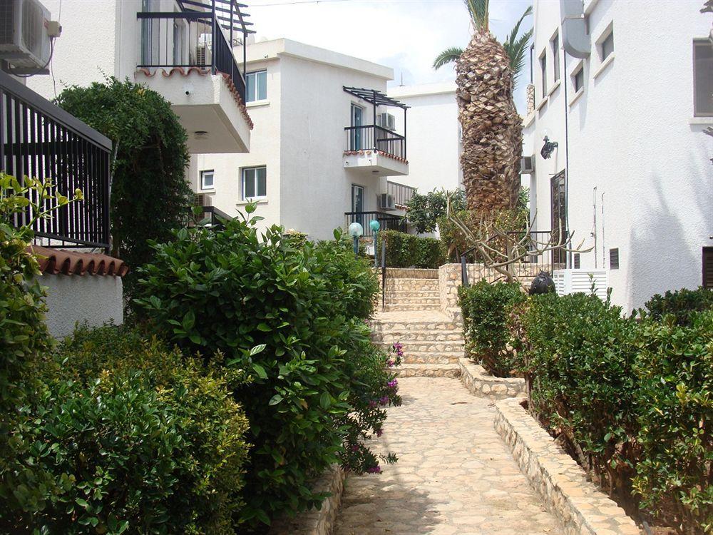 Aphelandra Hotel Apartments Ayia Napa Luaran gambar