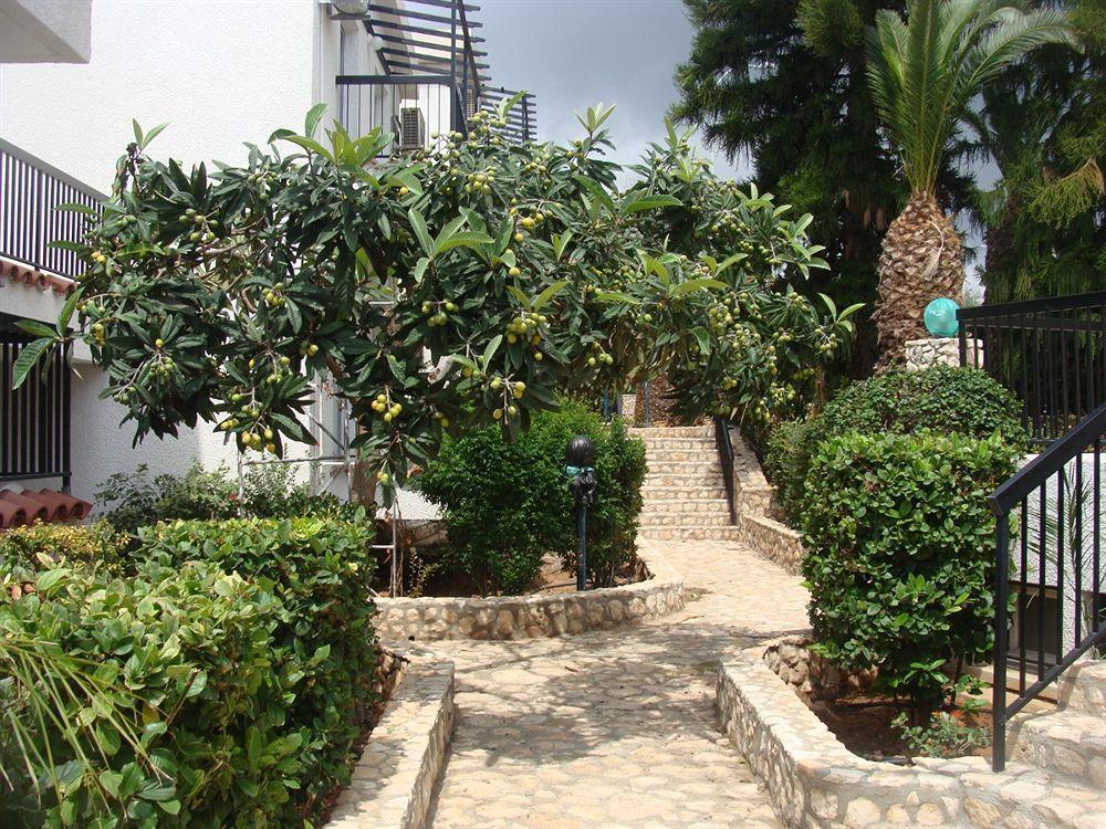 Aphelandra Hotel Apartments Ayia Napa Luaran gambar